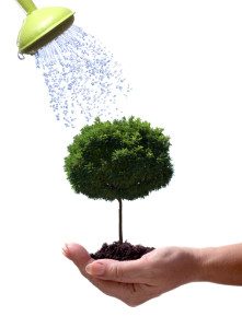 Tree Service